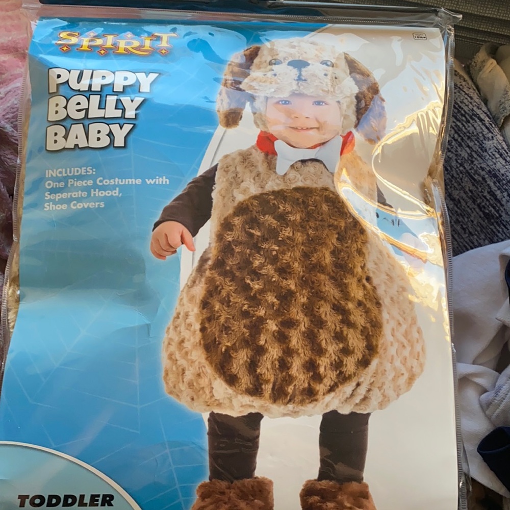 Spirit Halloween costume!